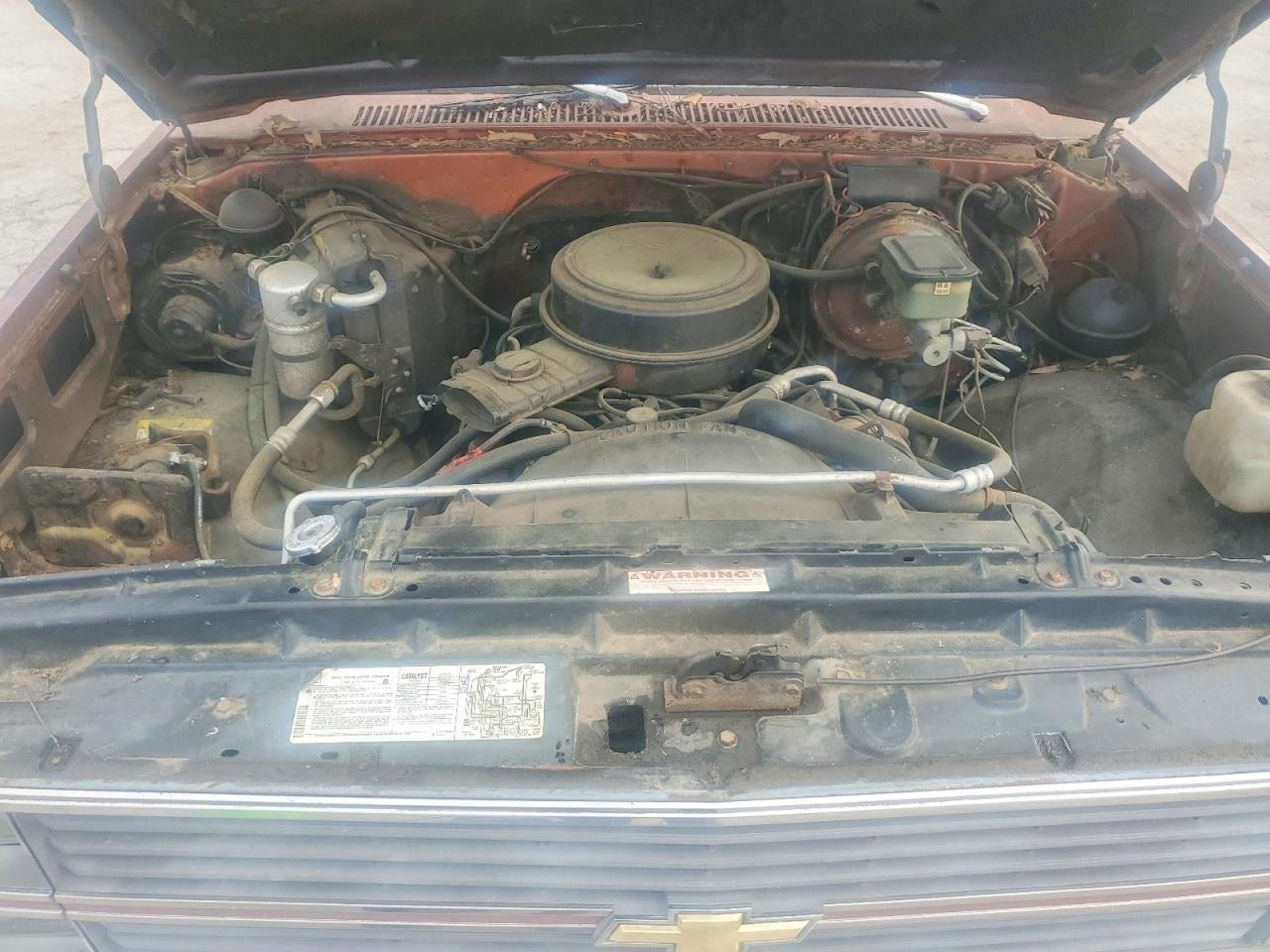 1986 Chevy Truck-10 Series